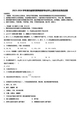 2023-2024学年湖北省黄冈黄梅县联考化学九上期末综合测试试题含解析.doc