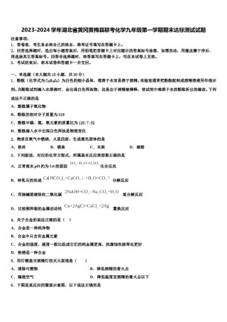 2023-2024学年湖北省黄冈黄梅县联考化学九年级第一学期期末达标测试试题含解析.doc
