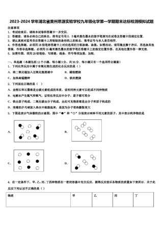 2023-2024学年湖北省黄州思源实验学校九年级化学第一学期期末达标检测模拟试题含解析.doc