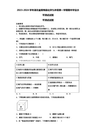 2023-2024学年湖北省黄梅县化学九年级第一学期期中学业水平测试试题含解析.doc