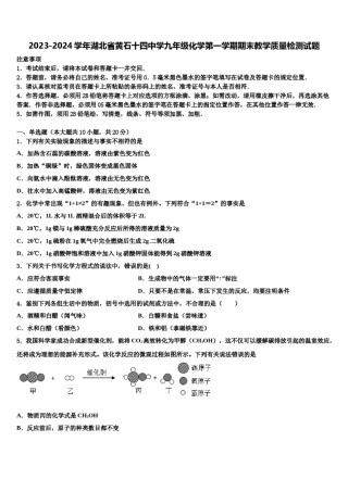 2023-2024学年湖北省黄石十四中学九年级化学第一学期期末教学质量检测试题含解析.doc
