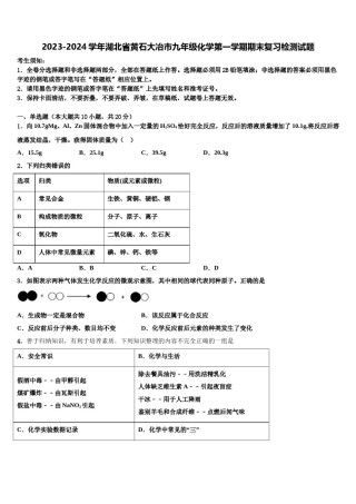 2023-2024学年湖北省黄石大冶市九年级化学第一学期期末复习检测试题含解析.doc