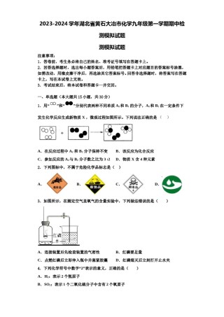 2023-2024学年湖北省黄石大冶市化学九年级第一学期期中检测模拟试题含解析.doc