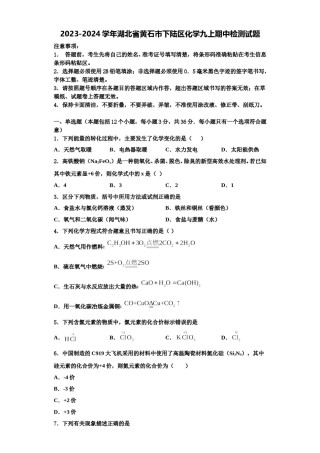 2023-2024学年湖北省黄石市下陆区化学九上期中检测试题含解析.doc