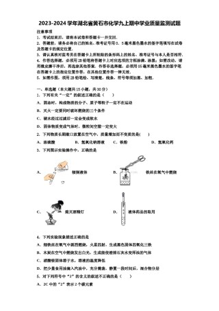2023-2024学年湖北省黄石市化学九上期中学业质量监测试题含解析.doc