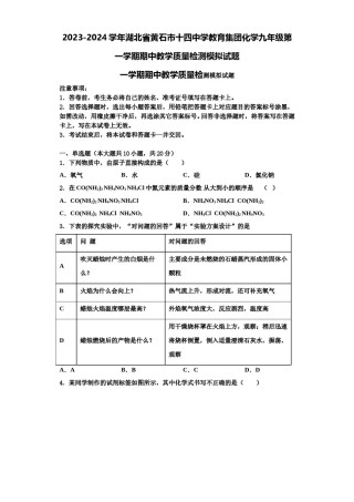 2023-2024学年湖北省黄石市十四中学教育集团化学九年级第一学期期中教学质量检测模拟试题含解析.doc