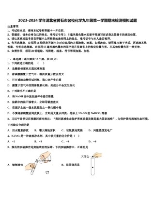 2023-2024学年湖北省黄石市名校化学九年级第一学期期末检测模拟试题含解析.doc