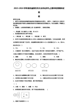2023-2024学年湖北省黄石市大冶市化学九上期中检测模拟试题含解析.doc
