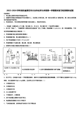 2023-2024学年湖北省黄石市大冶市化学九年级第一学期期末复习检测模拟试题含解析.doc