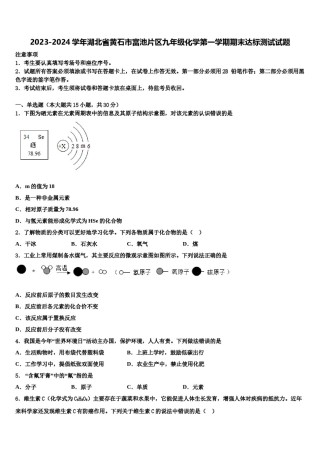 2023-2024学年湖北省黄石市富池片区九年级化学第一学期期末达标测试试题含解析.doc