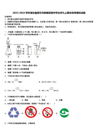 2023-2024学年湖北省黄石市新建初级中学化学九上期末统考模拟试题含解析.doc