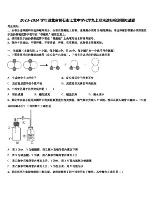 2023-2024学年湖北省黄石市江北中学化学九上期末达标检测模拟试题含解析.doc