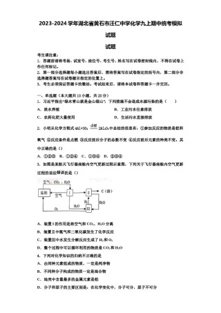 2023-2024学年湖北省黄石市汪仁中学化学九上期中统考模拟试题含解析.doc