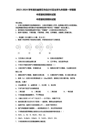 2023-2024学年湖北省黄石市白沙片区化学九年级第一学期期中质量检测模拟试题含解析.doc
