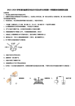 2023-2024学年湖北省黄石市白沙片区化学九年级第一学期期末经典模拟试题含解析.doc