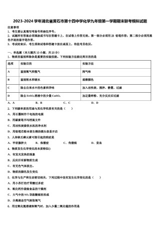 2023-2024学年湖北省黄石市第十四中学化学九年级第一学期期末联考模拟试题含解析.doc