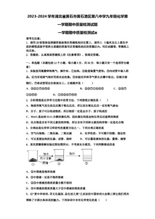 2023-2024学年湖北省黄石市黄石港区第八中学九年级化学第一学期期中质量检测试题含解析.doc