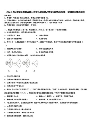 2023-2024学年湖北省黄石市黄石港区第八中学化学九年级第一学期期末预测试题含解析.doc