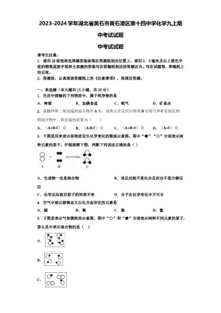 2023-2024学年湖北省黄石市黄石港区第十四中学化学九上期中考试试题含解析.doc