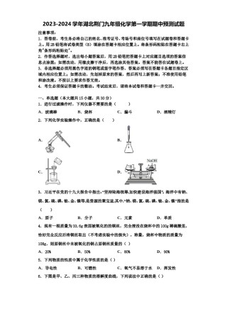 2023-2024学年湖北荆门九年级化学第一学期期中预测试题含解析.doc