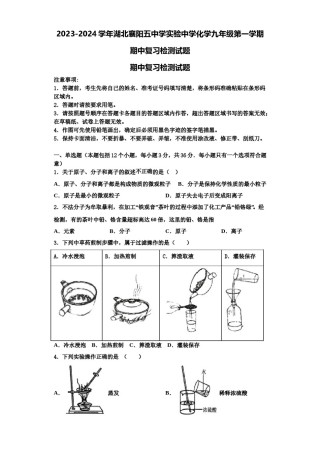 2023-2024学年湖北襄阳五中学实验中学化学九年级第一学期期中复习检测试题含解析.doc