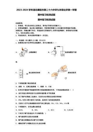 2023-2024学年湖北襄阳市第二十六中学九年级化学第一学期期中复习检测试题含解析.doc