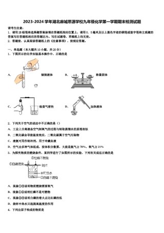 2023-2024学年湖北麻城思源学校九年级化学第一学期期末检测试题含解析.doc