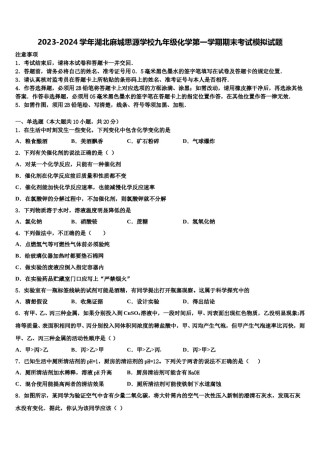 2023-2024学年湖北麻城思源学校九年级化学第一学期期末考试模拟试题含解析.doc