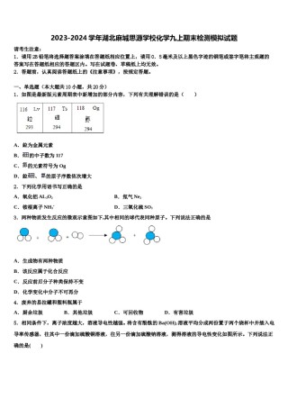 2023-2024学年湖北麻城思源学校化学九上期末检测模拟试题含解析.doc