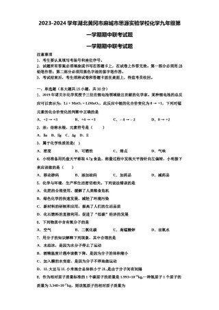 2023-2024学年湖北黄冈市麻城市思源实验学校化学九年级第一学期期中联考试题含解析.doc