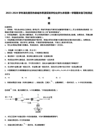 2023-2024学年湖北黄冈市麻城市思源实验学校化学九年级第一学期期末复习检测试题含解析.doc