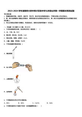 2023-2024学年湖南师大附中博才实验中学九年级化学第一学期期末预测试题含解析.doc