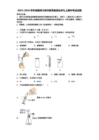 2023-2024学年湖南师大附中教育集团化学九上期中考试试题含解析.doc