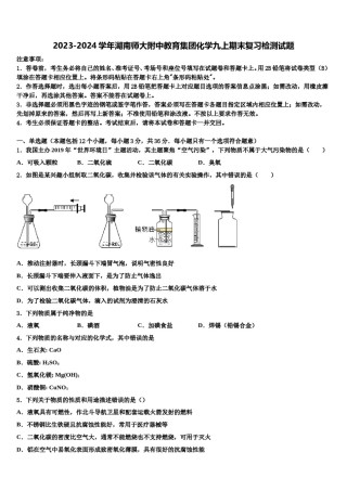 2023-2024学年湖南师大附中教育集团化学九上期末复习检测试题含解析.doc