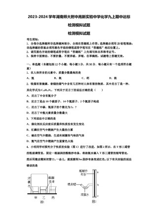 2023-2024学年湖南师大附中高新实验中学化学九上期中达标检测模拟试题含解析.doc