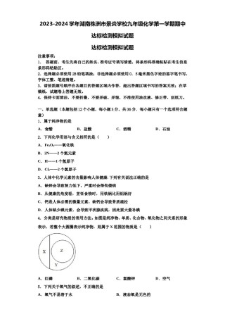 2023-2024学年湖南株洲市景炎学校九年级化学第一学期期中达标检测模拟试题含解析.doc