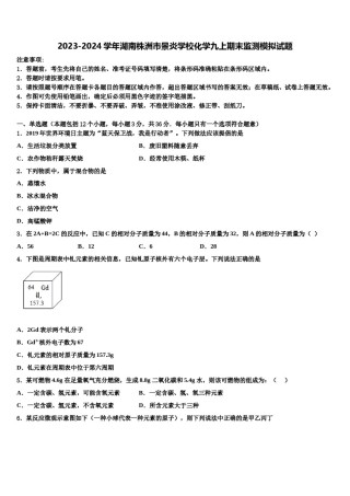 2023-2024学年湖南株洲市景炎学校化学九上期末监测模拟试题含解析.doc