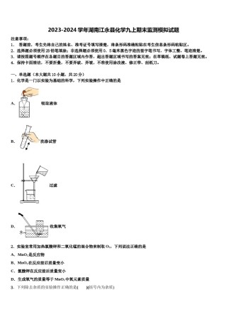 2023-2024学年湖南江永县化学九上期末监测模拟试题含解析.doc