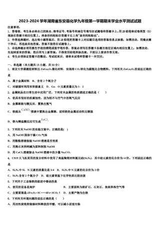 2023-2024学年湖南省东安县化学九年级第一学期期末学业水平测试试题含解析.doc