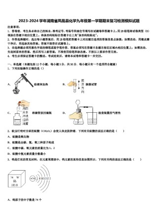 2023-2024学年湖南省凤凰县化学九年级第一学期期末复习检测模拟试题含解析.doc
