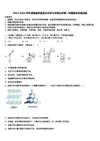 2023-2024学年湖南省凤凰皇仓中学九年级化学第一学期期末经典试题含解析.doc