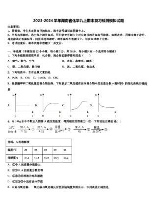2023-2024学年湖南省化学九上期末复习检测模拟试题含解析.doc