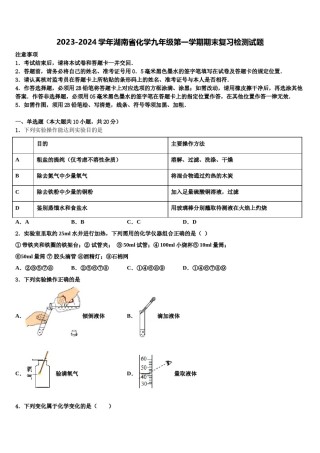 2023-2024学年湖南省化学九年级第一学期期末复习检测试题含解析.doc