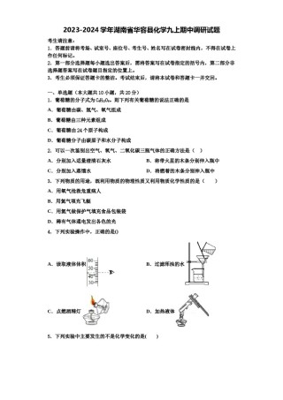 2023-2024学年湖南省华容县化学九上期中调研试题含解析.doc