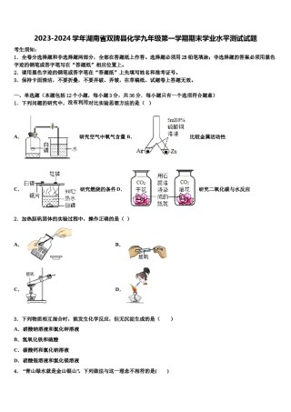 2023-2024学年湖南省双牌县化学九年级第一学期期末学业水平测试试题含解析.doc