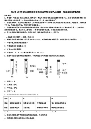2023-2024学年湖南省吉首市河溪中学化学九年级第一学期期末联考试题含解析.doc