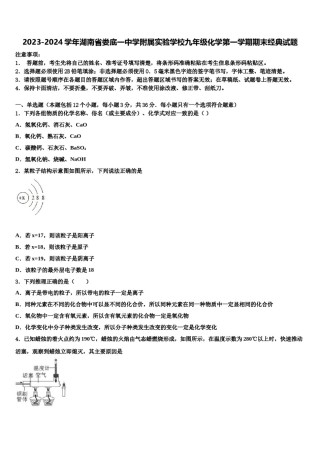 2023-2024学年湖南省娄底一中学附属实验学校九年级化学第一学期期末经典试题含解析.doc