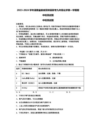 2023-2024学年湖南省娄底双峰县联考九年级化学第一学期期中检测试题含解析.doc