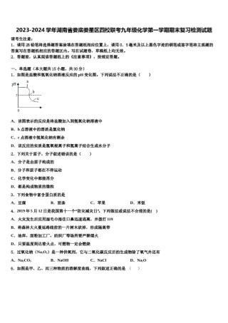 2023-2024学年湖南省娄底娄星区四校联考九年级化学第一学期期末复习检测试题含解析.doc