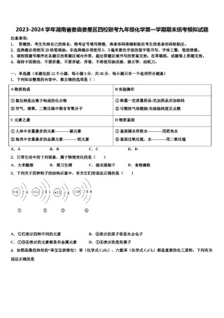 2023-2024学年湖南省娄底娄星区四校联考九年级化学第一学期期末统考模拟试题含解析.doc